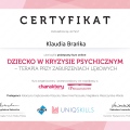 Powiększ obraz: certificate 9