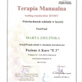 Powiększ obraz: certificate 6