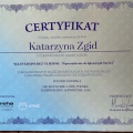 Powiększ obraz: certificate 8