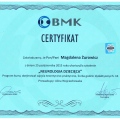 Powiększ obraz: certificate 12