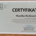 Powiększ obraz: certificate 1
