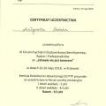 Powiększ obraz: certificate 9