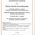 Powiększ obraz: certificate 5