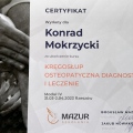 Powiększ obraz: certificate 8
