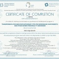 Powiększ obraz: certificate 4