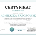 Powiększ obraz: certificate 9