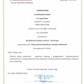 Powiększ obraz: certificate 26