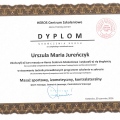 Powiększ obraz: certificate 9
