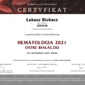 Powiększ obraz: certificate 99