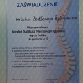 Powiększ obraz: certificate 20