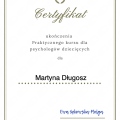 Powiększ obraz: certificate 8