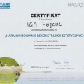 Powiększ obraz: certificate 5