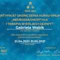 Powiększ obraz: certificate 8