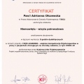 Powiększ obraz: certificate 4