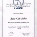 Powiększ obraz: certificate 3