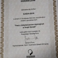 Powiększ obraz: certificate 3