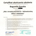 Powiększ obraz: certificate 4