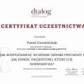 Powiększ obraz: certificate 9