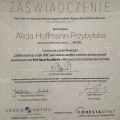 Powiększ obraz: certificate 5