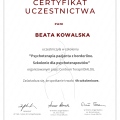 Powiększ obraz: certificate 31
