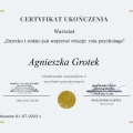 Powiększ obraz: certificate 3