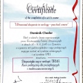 Powiększ obraz: certificate 2