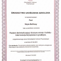 Powiększ obraz: certificate 8