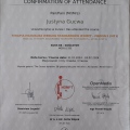 Powiększ obraz: certificate 20