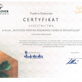 Powiększ obraz: certificate 6