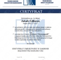 Powiększ obraz: certificate 5