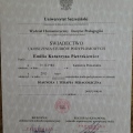 Powiększ obraz: certificate 4