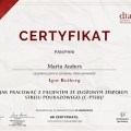 Powiększ obraz: certificate 2