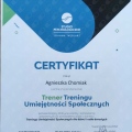 Powiększ obraz: certificate 7