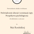 Powiększ obraz: certificate 2