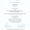 Powiększ obraz: certificate 10