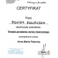 Powiększ obraz: certificate 3