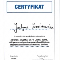 Powiększ obraz: certificate 9