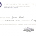 Powiększ obraz: certificate 29