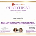 Powiększ obraz: certificate 2