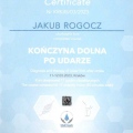 Powiększ obraz: certificate 5