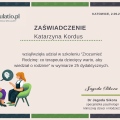 Powiększ obraz: certificate 4
