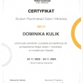 Powiększ obraz: certificate 1