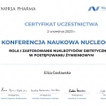 Powiększ obraz: certificate 16