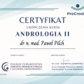 Powiększ obraz: certificate 69