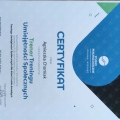 Powiększ obraz: certificate 1