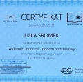 Powiększ obraz: certificate 1
