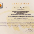 Powiększ obraz: certificate 10