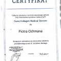 Powiększ obraz: certificate 14