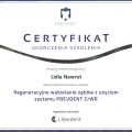 Powiększ obraz: certificate 3