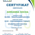 Powiększ obraz: certificate 3